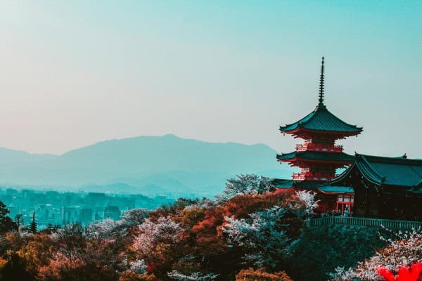 Nightlife in Neon: A Guide to Japan’s Best Rooftop Bars and Night Views