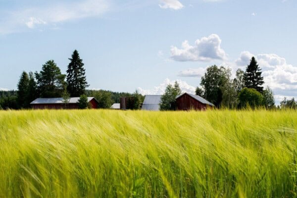 Farmland