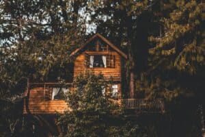 How Cabin Life Reconnects You with Nature and Yourself