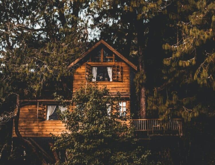 How Cabin Life Reconnects You with Nature and Yourself