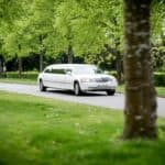 Limousine