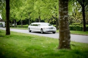 Limousine 