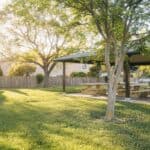 Landscape Maintenance Tips for a Greener, Healthier Yard