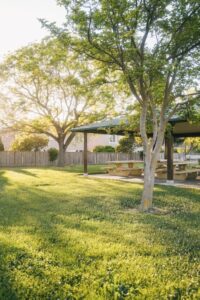 Landscape Maintenance Tips for a Greener, Healthier Yard