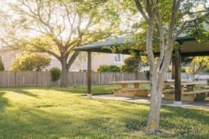 Landscape Maintenance Tips for a Greener, Healthier Yard