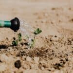 The Importance of Professional Irrigation Planning