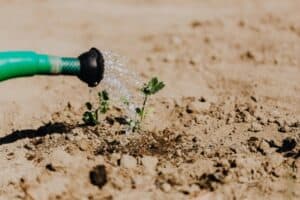 The Importance of Professional Irrigation Planning