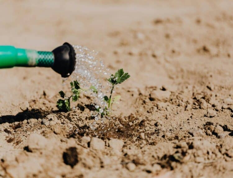 The Importance of Professional Irrigation Planning
