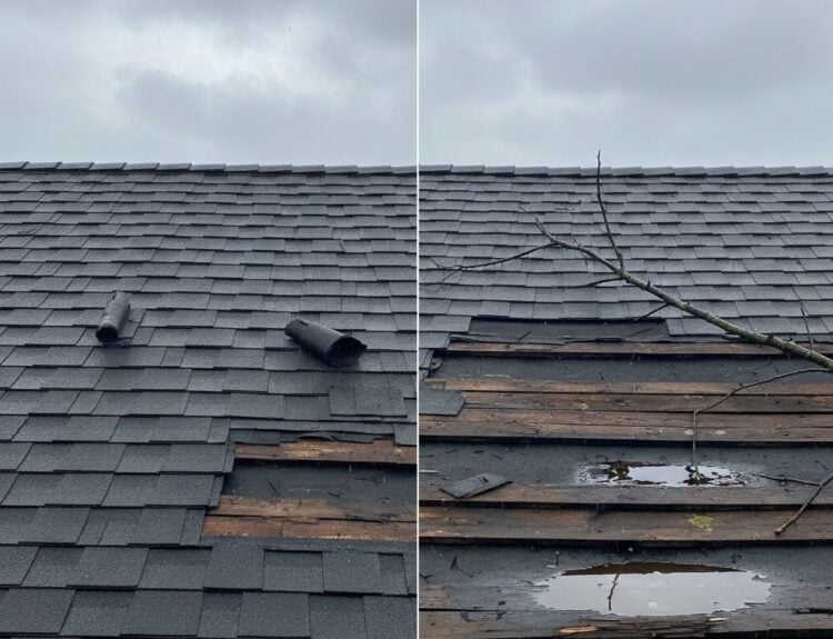 Reasons Minor Shingle Damage Becomes a Major Roof Repair